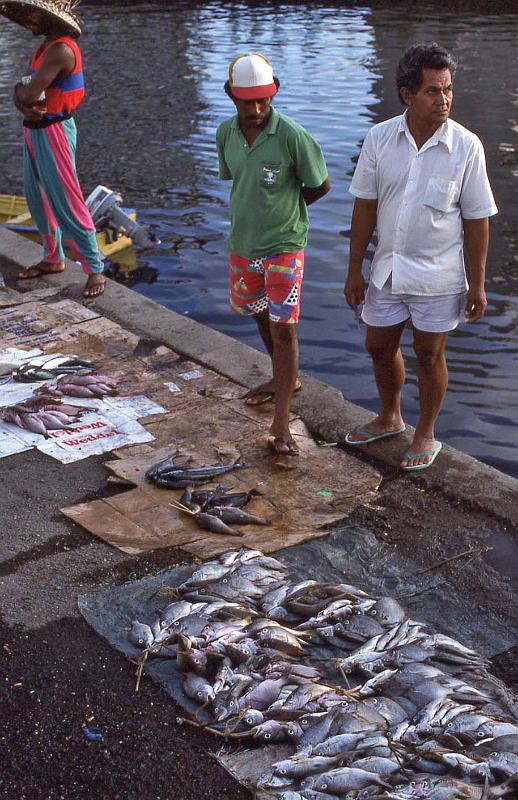 WT 0100 007-31 Fiji.jpg